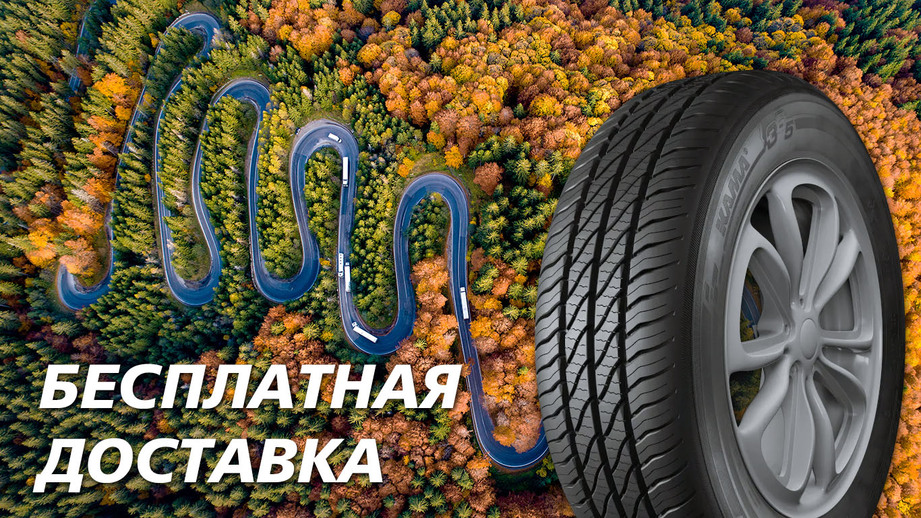 Доставим бесплатно по России!